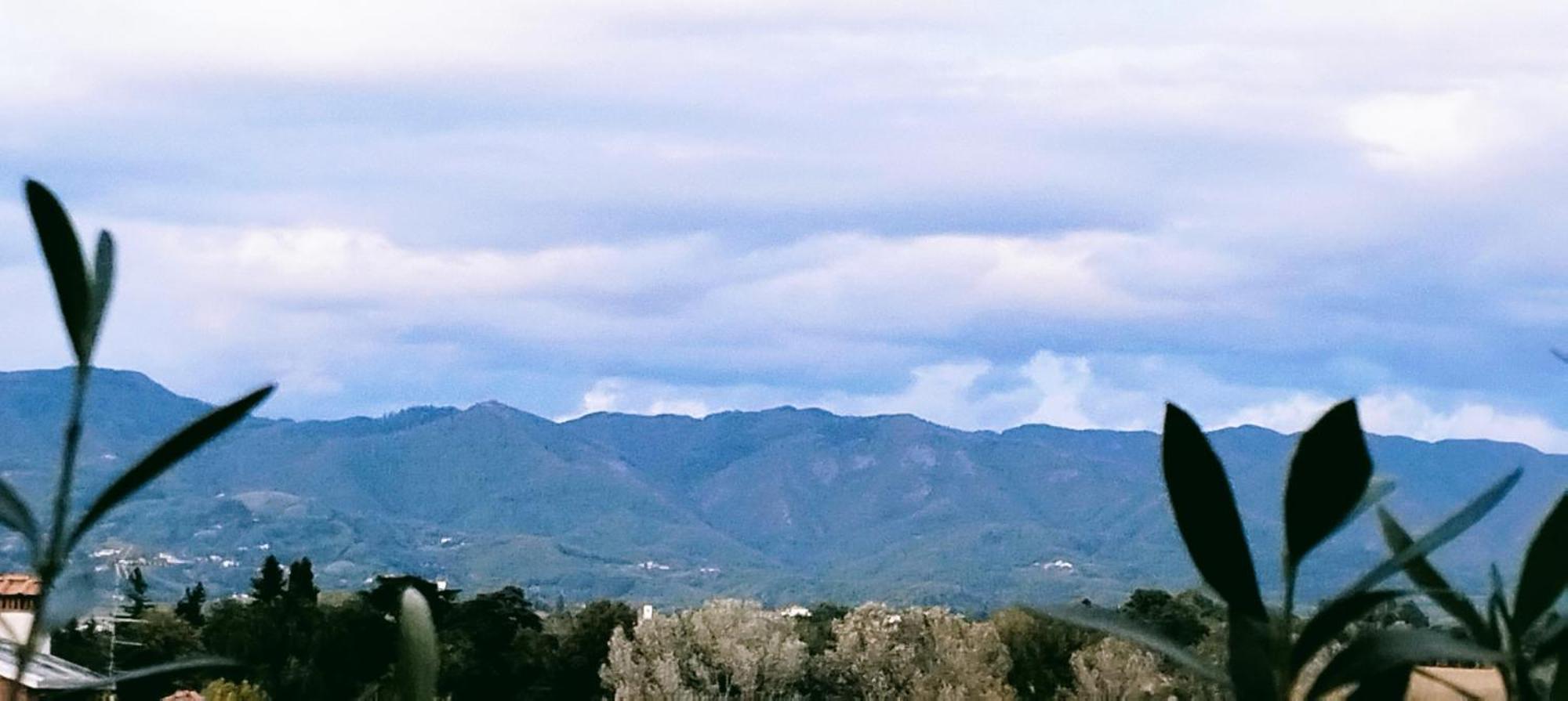 Athena Soggiorno Appartement San Piero a Sieve Buitenkant foto